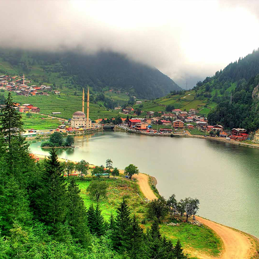 We Solve Murders by Richard Osman