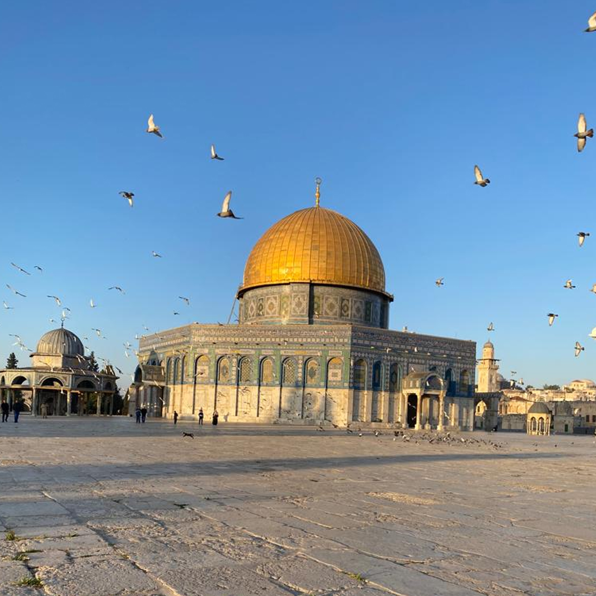 We Solve Murders by Richard Osman